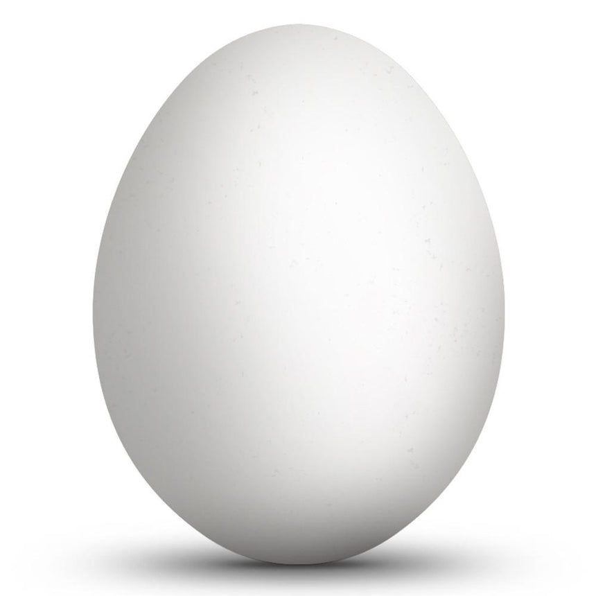 Eggshell Blown Out Hollow Real Goose Eggshell for Easter Egg Decorating 3.1-Inches Tall in White color Oval