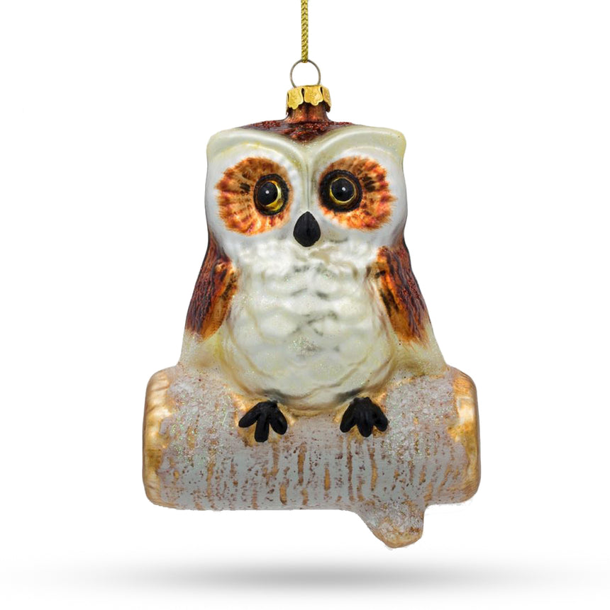 Glass Wise Owl Sitting on a Branch Blown Glass Christmas Ornament in Multi color