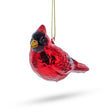 Glass Vibrant Red Cardinal Blown Glass Christmas Ornament in Red color