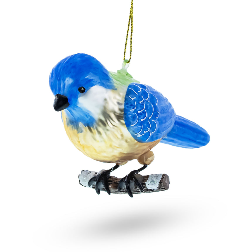 Glass Vibrant Bluebird in Multicolored Splendor Blown Glass Christmas Ornament in Multi color