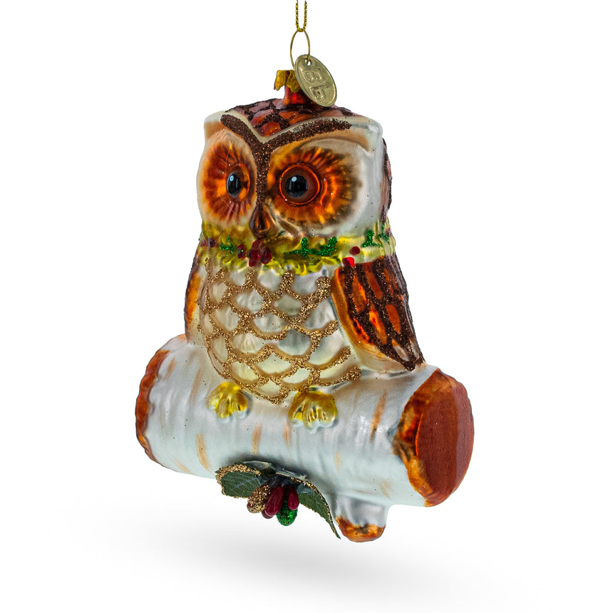 Glass Wise Owl Perched on Branch Blown Glass Christmas Ornament in Multi color