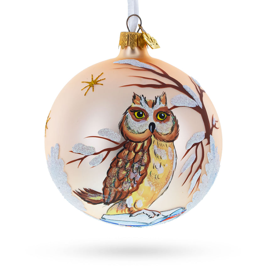 Glass Owl in Snowy Winter Landscape Blown Glass Ball Christmas Ornament 4 Inches in White color Round