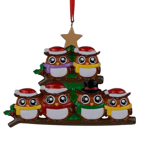 Resin Family of 6 Owls Hand Painted Resin Christmas Ornament in Multi color Rectangular