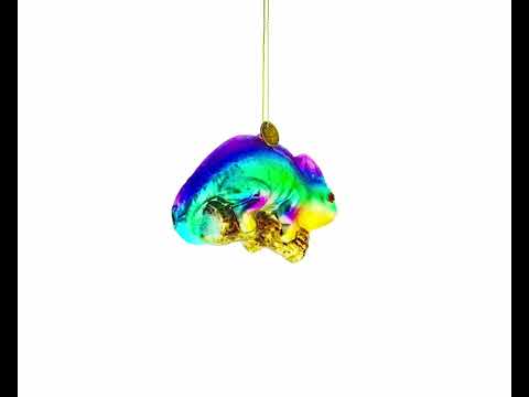 Colorful Rainbow Chameleon Blown Glass Christmas Ornament