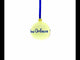 New Orleans, Louisiana Glass Ball Christmas Ornament 3.25 Inches