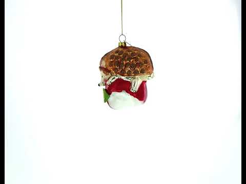 Hedgehog Savoring a Red Apple Blown Glass Christmas Ornament