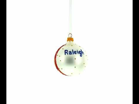 Museum of Natural Sciences, Raleigh, North Carolina, USA Glass Ball Christmas Ornament 3.25 Inches