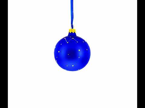 Capricorn Zodiac Horoscope Sign Glass Ball Christmas Ornament 3.25 Inches