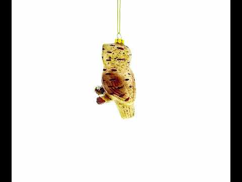 Wise Owl Perched on Branch Blown Glass Christmas Ornament