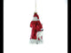 Santa Claus Guided by White Reindeer - Festive Blown Glass Christmas Ornament