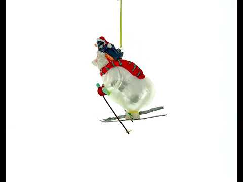 Adventurous Bear and Penguin Skiing Glass Christmas Ornament