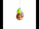 Fantastic Conch Sea Snail Shell Glass Christmas Ornament