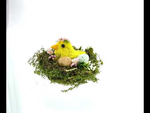 Speckled Egg Surprise: Nestled Chick Amidst Colorful Treasures