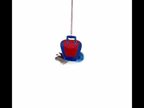 Let’s Bowl! Bowling Bag with Shoes and Ball Resin Christmas Ornament