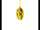 Gold and Black Circles Glass Egg Christmas Ornament 4 Inches