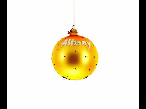 New York State Museum, Albany, New York, USA Glass Ball Christmas Ornament 4 Inches