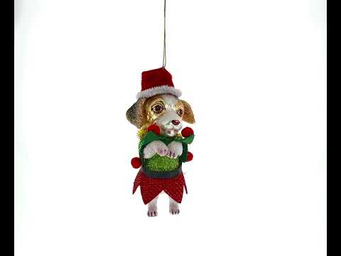 Dog in Elf Costume Blown Glass Christmas Ornament