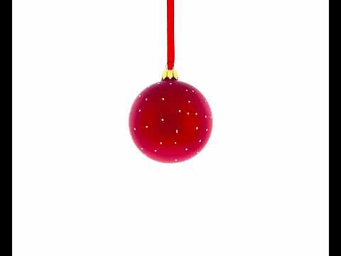 Veterinarian Technician Glass Ball Christmas Ornament 3.25 Inches