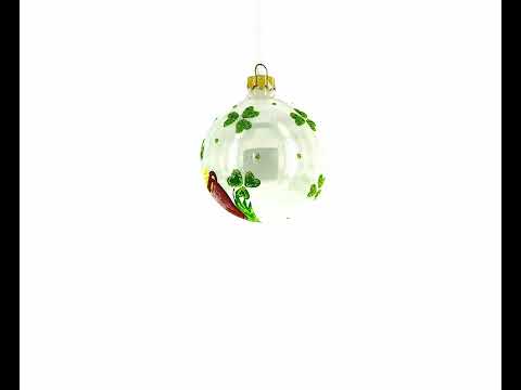 Charming Irish Leprechaun Blown Glass Christmas Ornament 4 Inches