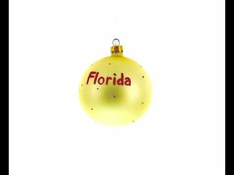 Adorno navideño con bola de cristal del estado de Florida, EE. UU., 4 pulgadas