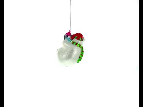 Frosty Friends: Arctic Harmony Glass Christmas Ornament