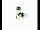 Mysterious Cat in Black Costume Holding Fish Blown Glass Christmas Ornament