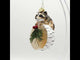 Curious Raccoon on the Log - Blown Glass Christmas Ornament