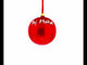 Taj Mahal, India Glass Ball Christmas Ornament 4 Inches