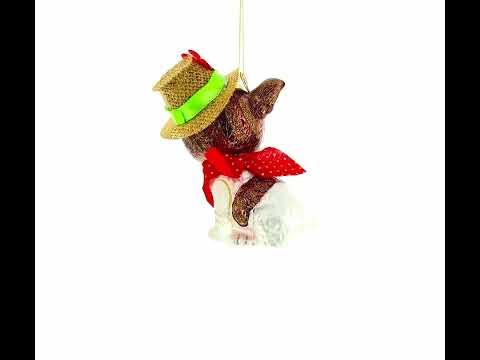 Dapper Boston Terrier in Hat Blown Glass Christmas Ornament