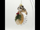 Curious Raccoon on the Log Blown Glass Christmas Ornament