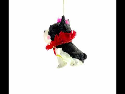 Charming French Bulldog Blown Glass Christmas Ornament