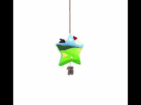 Hole in One Golf Bag with Flag and Shoes Resin Christmas Ornament