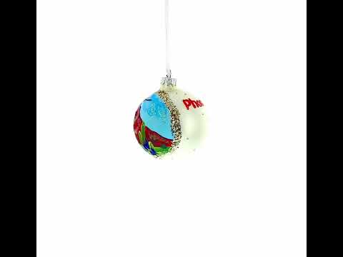 Desert Botanical Garden Phoenix, Arizona Glass Ball Christmas Ornament 3.25 Inches