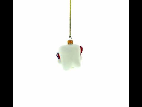 Smiling Tooth with Toothbrush & Toothpaste Dental Mini Glass Christmas Ornament