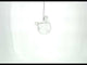 Graceful Bird - Adorno navideño de vidrio transparente soplado