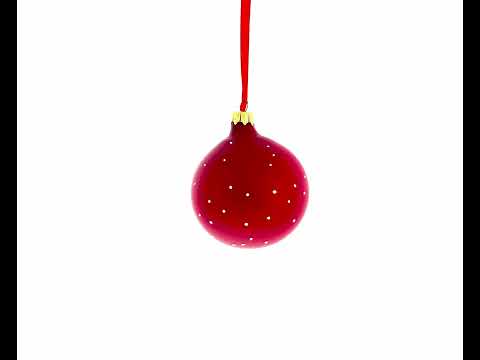 Physical Therapist Blown Glass Ball Christmas Ornament 3.25 Inches