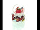 Santa Delivering Gifts Musical Christmas Water Snow Globe