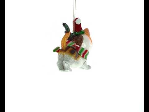 Cozy Cat in Santa Hat and Scarf Glass Christmas Ornament