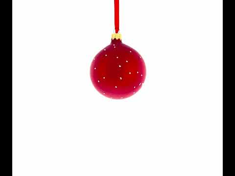 Spinal Care Specialist: Chiropractor Blown Glass Ball Christmas Ornament 3.25 Inches