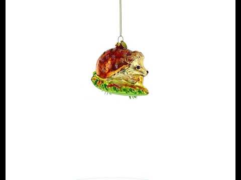 Cute Hedgehog on Grass Blown Glass Christmas Ornament