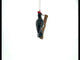 Woodpecker Perched on a Branch Glass Christmas Ornament