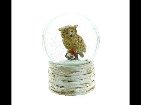 Owl Perched on Tree Branch Musical Water Snow Globe