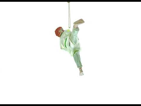 Judo Martial Arts Blown Glass Christmas Ornament