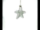 Radiant White Star "Love" Blown Glass Christmas Ornament