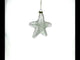 Radiant White Star "Love" - Blown Glass Christmas Ornament